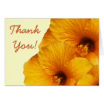 Orange Hibiscus Flower "Thank You" Card