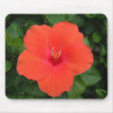 Orange Hibiscus Mousepad
