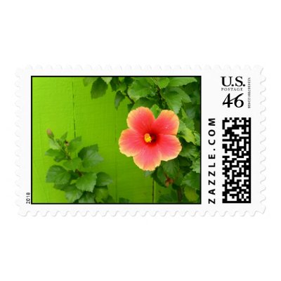 Orange Hibiscus Stamps by jremigio