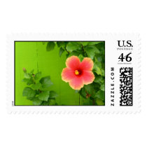Orange Hibiscus postage by jremigio Orange Hibiscus postage