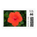 Orange Hibiscus postage