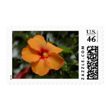 Orange Hibiscus Postage
