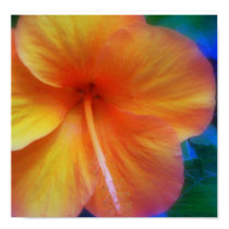 orange hibiscus posters