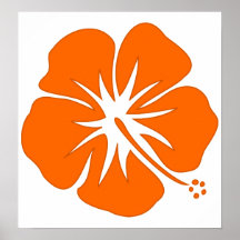 Orange Hibiscus Print