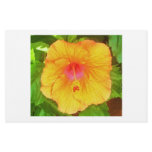 orange hibiscus stationary custom stationery
