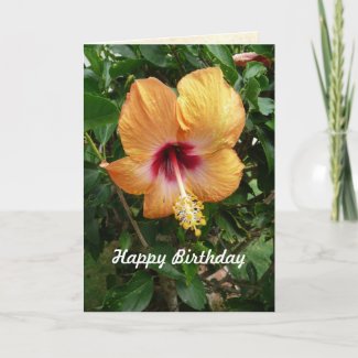 orange_hibiscus_tropical_flower_birthday_template_card-p1372800625243058738g3x_325.jpg