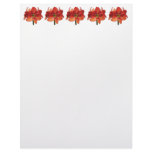 Orange Hippeastrum Amaryllis Custom Letterhead