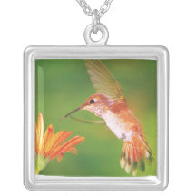 Orange Hummingbird Silver Pendant