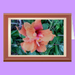 ORANGE HYBICUS Card cards