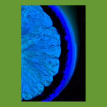 Orange in Blue posters