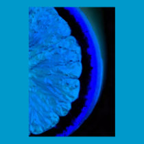 Orange in Blue posters
