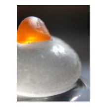 Orange Jelly Post Cards