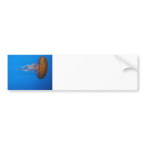 Orange Jellyfish Bumper Sticker