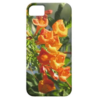 Orange Jubilee iPhone 5 Case