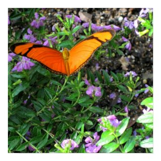 Orange Julia print