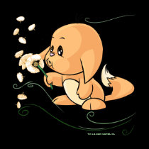 Orange Kacheek wishing on a dandelion