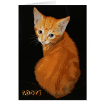 Orange Kitten Notecard
