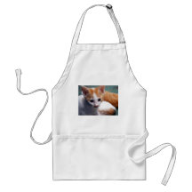 Orange Kitten Photograph Aprons