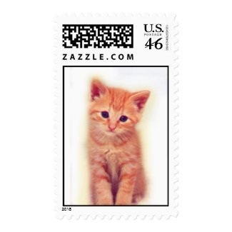 Orange Kitten stamp