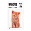 Orange Kitten postage