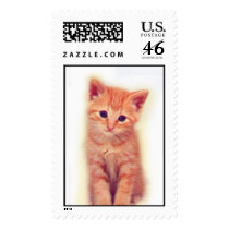 Orange Kitten postage by kittykelly Orange Kitten postage