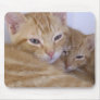 Orange Kittens Mouse Pad