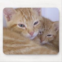Orange Kittens mousepads by okcshelter Orange Kittens mousepads