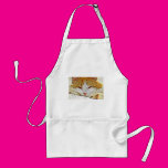 Orange Kitty Cat Aprons