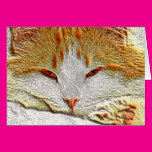 Orange Kitty Cat Card