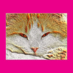 Orange Kitty Cat Postcard