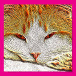 Orange Kitty Cat Poster