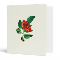 Orange Lantanas binders