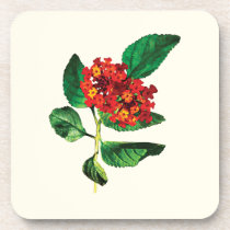 Orange Lantanas cork coasters