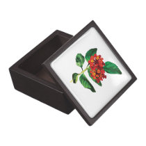 Orange Lantanas premium gift boxes