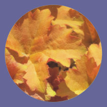 Orange Leaf stickers