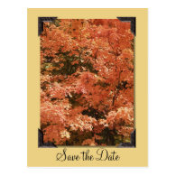 Orange Leaves Save the Date Postcard