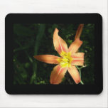Orange Light Mouse Mat