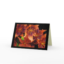 Orange Lilies Birthday Greeting Cards