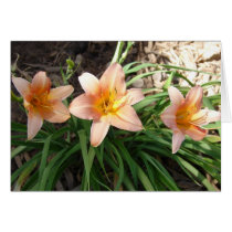 Orange Lilies cards by Killlashandra Orange Lilies cards