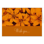 Orange Lilies Card Orange Lilies Card