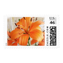 Orange Lilies: Flowers: postage by spiritswitchboard Orange Lilies: Flowers: postage