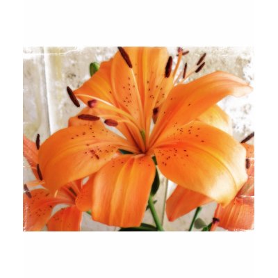 Orange Lilies: Flowers: T-shirt by spiritswitchboard