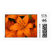 orange lilies stamp