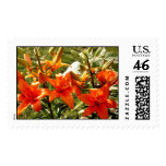 orange, lilies