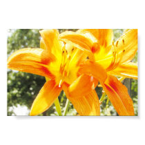 Orange lilies posters by wyndryder4 Orange lilies posters