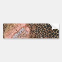 Orange Lilium flower, stamen flowers Bumper Stickers