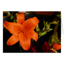 Orange Lilly Card cards