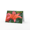 Orange lily birthday card