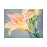 Orange Lily Canvas Gallery Wrap canvas prints