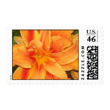 Orange Lily Closeup Postage